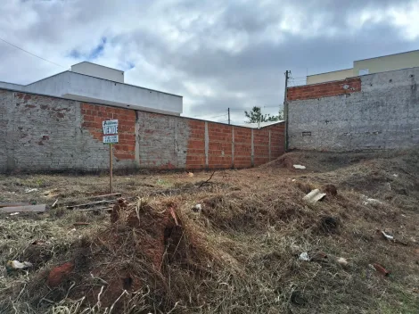 Comprar Terreno / Padr&atilde;o em Mirassol R$ 110.000,00 - Foto 5