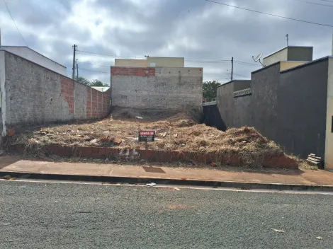 Comprar Terreno / Padr&atilde;o em Mirassol R$ 110.000,00 - Foto 7