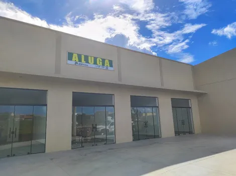 Alugar Comercial / Sal&atilde;o em S&atilde;o Jos&eacute; do Rio Preto R$ 3.000,00 - Foto 4