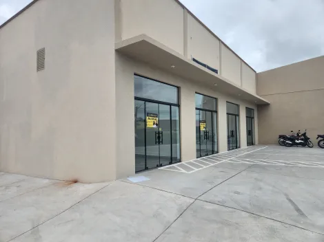 Alugar Comercial / Sal&atilde;o em S&atilde;o Jos&eacute; do Rio Preto R$ 3.000,00 - Foto 6