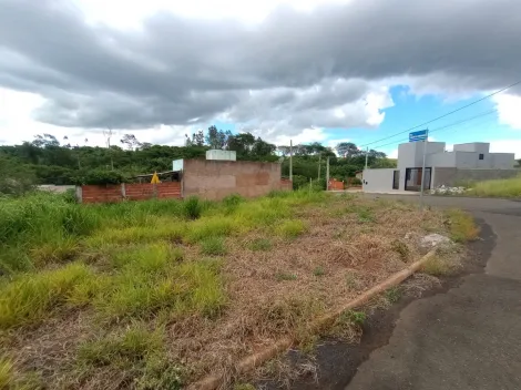 Comprar Terreno / Padr&atilde;o em Bady Bassitt R$ 55.000,00 - Foto 5