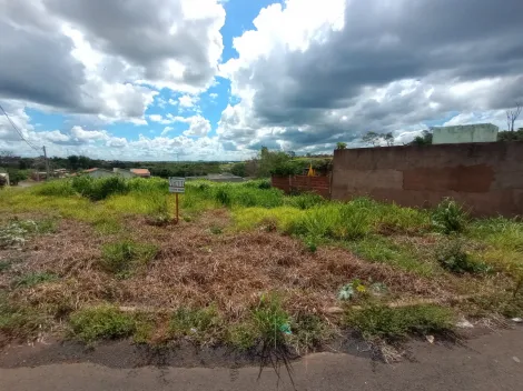 Comprar Terreno / Padr&atilde;o em Bady Bassitt R$ 55.000,00 - Foto 7