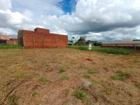 Comprar Terreno / Padr&atilde;o em S&atilde;o Jos&eacute; do Rio Preto R$ 160.000,00 - Foto 4