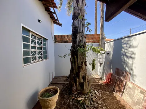 Alugar Casa / Padr&atilde;o em S&atilde;o Jos&eacute; do Rio Preto R$ 2.000,00 - Foto 30