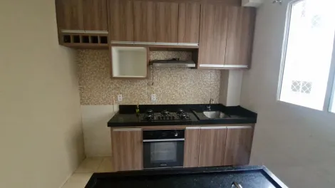 Alugar Apartamento / Padr&atilde;o em S&atilde;o Jos&eacute; do Rio Preto R$ 1.300,00 - Foto 3