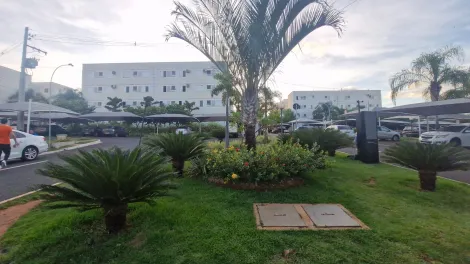 Alugar Apartamento / Padr&atilde;o em S&atilde;o Jos&eacute; do Rio Preto R$ 1.300,00 - Foto 17