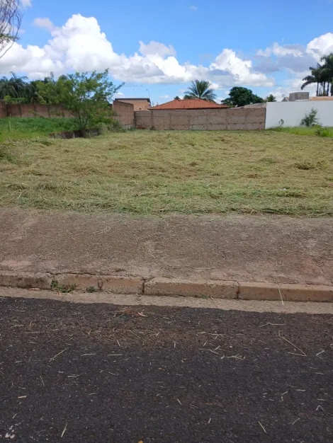 Alugar Terreno / &Aacute;rea em S&atilde;o Jos&eacute; do Rio Preto. apenas R$ 600.000,00