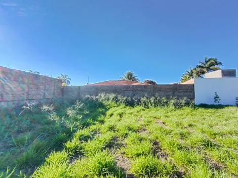 Comprar Terreno / &Aacute;rea em S&atilde;o Jos&eacute; do Rio Preto R$ 600.000,00 - Foto 8