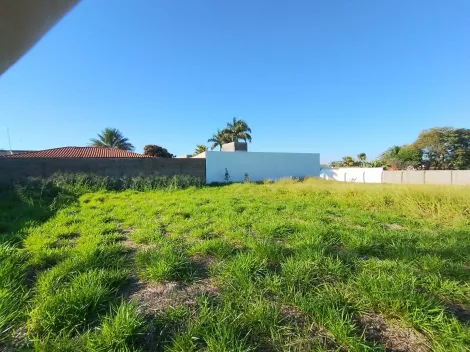 Comprar Terreno / &Aacute;rea em S&atilde;o Jos&eacute; do Rio Preto R$ 600.000,00 - Foto 7