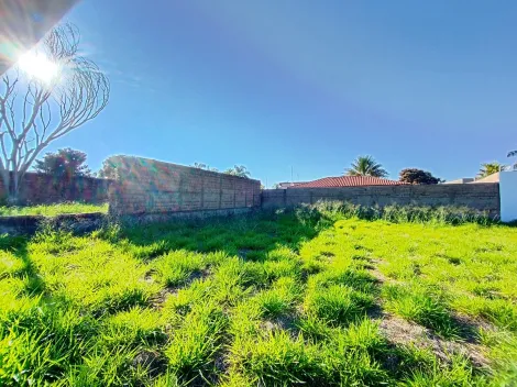 Comprar Terreno / &Aacute;rea em S&atilde;o Jos&eacute; do Rio Preto R$ 600.000,00 - Foto 6