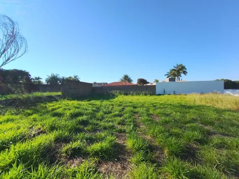 Comprar Terreno / &Aacute;rea em S&atilde;o Jos&eacute; do Rio Preto R$ 600.000,00 - Foto 5