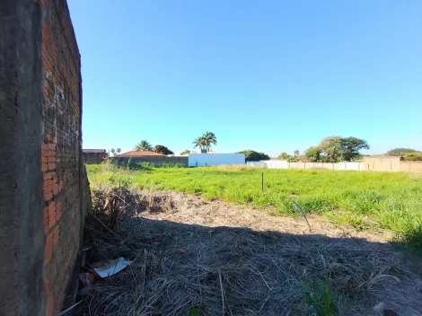 Comprar Terreno / &Aacute;rea em S&atilde;o Jos&eacute; do Rio Preto R$ 600.000,00 - Foto 3
