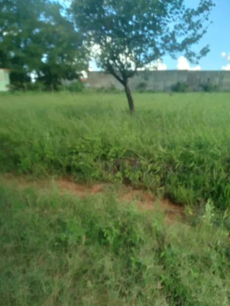 Comprar Terreno / &Aacute;rea em Fronteira R$ 160.000,00 - Foto 2