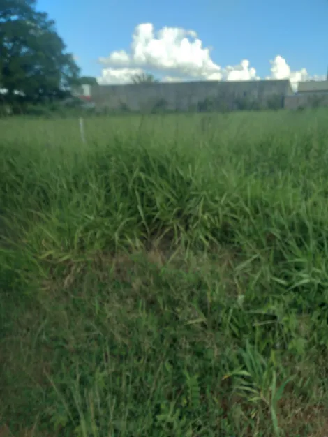 Terreno / &Aacute;rea em Fronteira 
