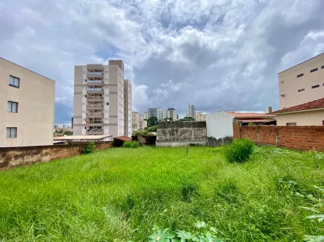 Terreno / &Aacute;rea em S&atilde;o Jos&eacute; do Rio Preto 