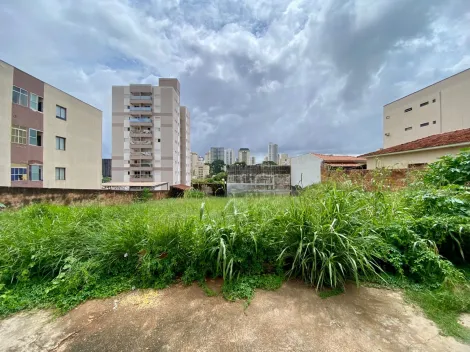 Comprar Terreno / &Aacute;rea em S&atilde;o Jos&eacute; do Rio Preto R$ 1.500.000,00 - Foto 4