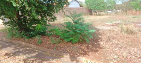 Comprar Terreno / Padr&atilde;o em Cardoso R$ 60.000,00 - Foto 3