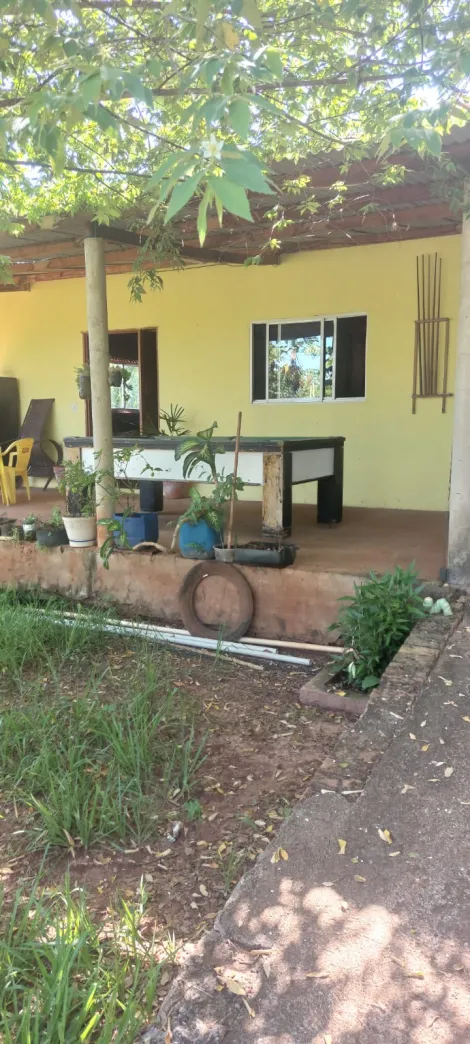 Comprar Rural / Ch&aacute;cara em Ipigu&aacute; R$ 270.000,00 - Foto 7