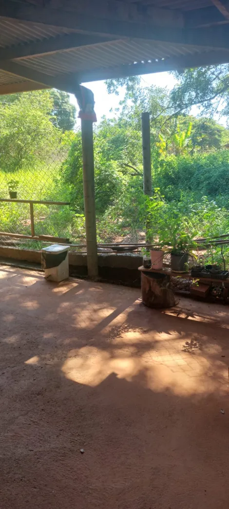 Comprar Rural / Ch&aacute;cara em Ipigu&aacute; R$ 270.000,00 - Foto 9