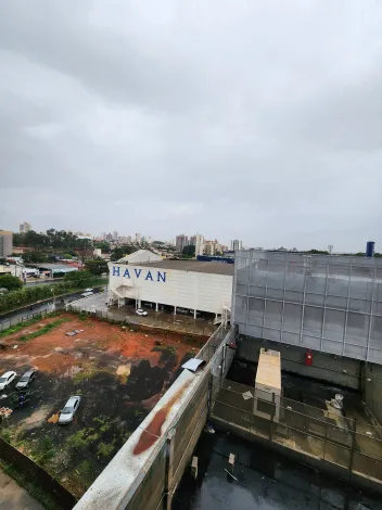 Alugar Comercial / Sala em S&atilde;o Jos&eacute; do Rio Preto R$ 4.500,00 - Foto 5