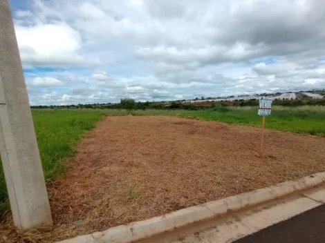Terreno / Padr&atilde;o em S&atilde;o Jos&eacute; do Rio Preto 