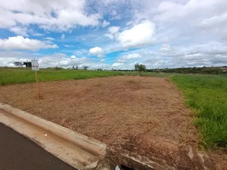Comprar Terreno / Padr&atilde;o em S&atilde;o Jos&eacute; do Rio Preto R$ 115.000,00 - Foto 2
