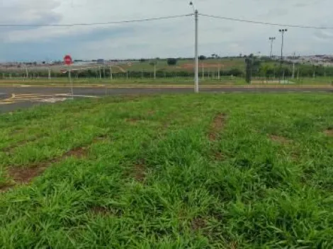 Comprar Terreno / Padr&atilde;o em S&atilde;o Jos&eacute; do Rio Preto R$ 115.000,00 - Foto 6