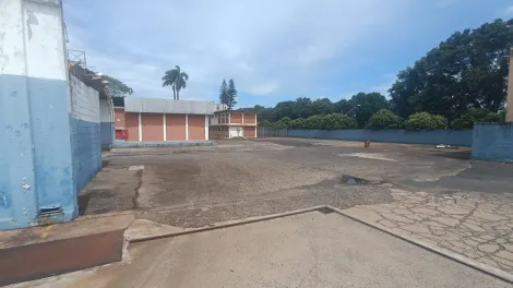 Comercial / Sal&atilde;o em S&atilde;o Jos&eacute; do Rio Preto 