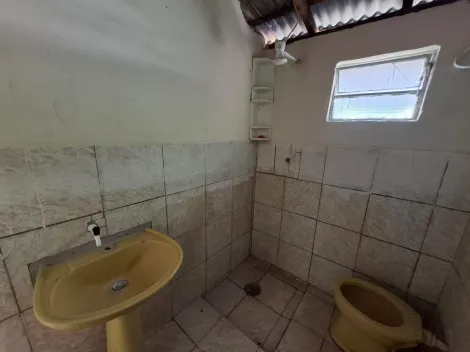 Alugar Casa / Padr&atilde;o em S&atilde;o Jos&eacute; do Rio Preto R$ 700,00 - Foto 6