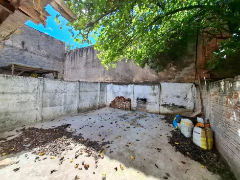 Alugar Casa / Padr&atilde;o em S&atilde;o Jos&eacute; do Rio Preto R$ 700,00 - Foto 11
