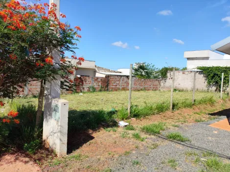 Comprar Terreno / Padr&atilde;o em Bady Bassitt R$ 75.000,00 - Foto 2