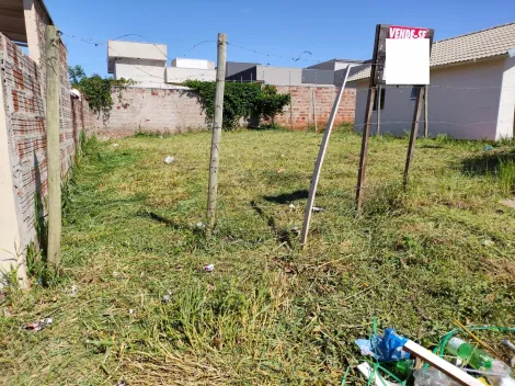 Comprar Terreno / Padr&atilde;o em Bady Bassitt R$ 75.000,00 - Foto 3