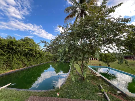 Comprar Rural / Ch&aacute;cara em S&atilde;o Jos&eacute; do Rio Preto R$ 1.400.000,00 - Foto 48