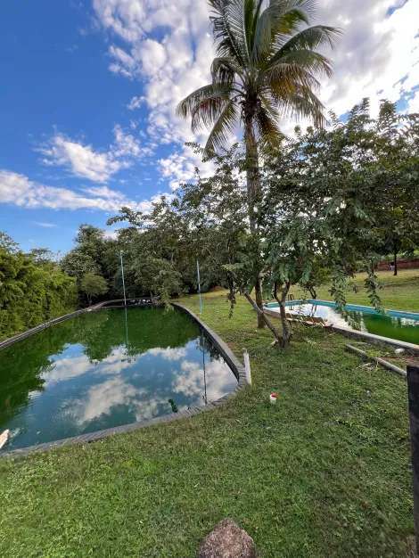 Comprar Rural / Ch&aacute;cara em S&atilde;o Jos&eacute; do Rio Preto R$ 1.400.000,00 - Foto 50