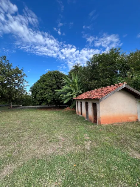 Comprar Rural / Ch&aacute;cara em S&atilde;o Jos&eacute; do Rio Preto R$ 1.400.000,00 - Foto 61