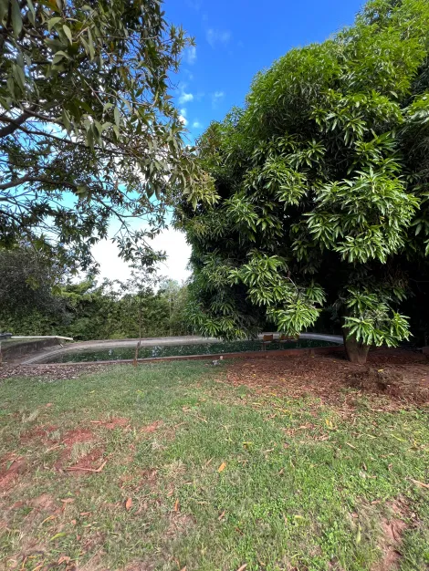 Comprar Rural / Ch&aacute;cara em S&atilde;o Jos&eacute; do Rio Preto R$ 1.400.000,00 - Foto 70
