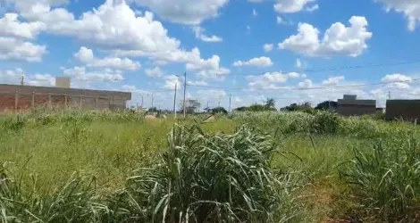 Terreno / Padr&atilde;o em S&atilde;o Jos&eacute; do Rio Preto 