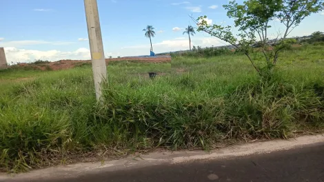 Terreno / Condom&iacute;nio em S&atilde;o Jos&eacute; do Rio Preto 