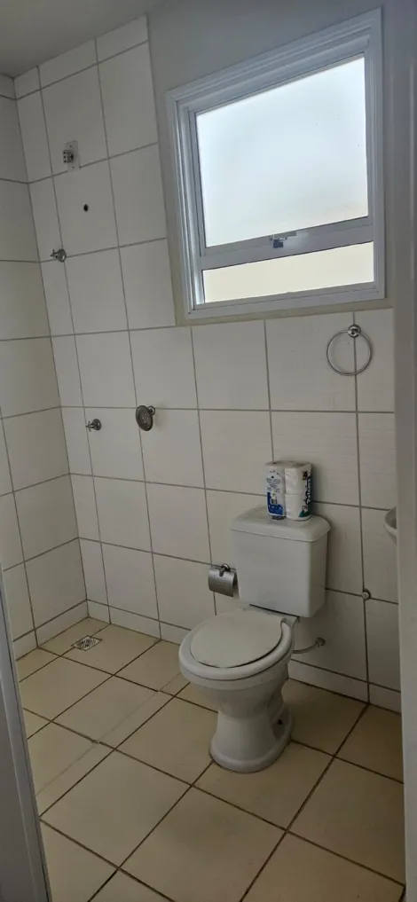 Alugar Casa / Padr&atilde;o em S&atilde;o Jos&eacute; do Rio Preto. apenas R$ 1.000,00