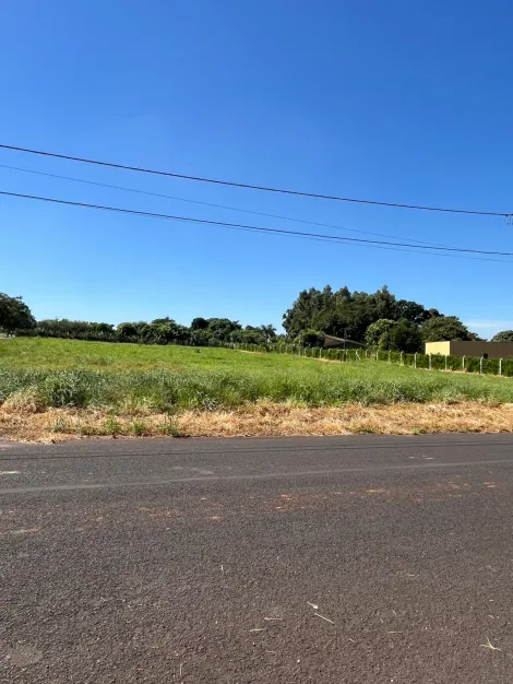 Terreno / Condom&iacute;nio em S&atilde;o Jos&eacute; do Rio Preto 