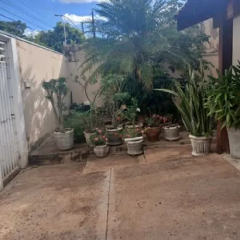 Alugar Casa / Padr&atilde;o em S&atilde;o Jos&eacute; do Rio Preto. apenas R$ 315.000,00