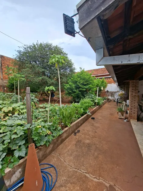 Comprar Casa / Padr&atilde;o em S&atilde;o Jos&eacute; do Rio Preto R$ 350.000,00 - Foto 13