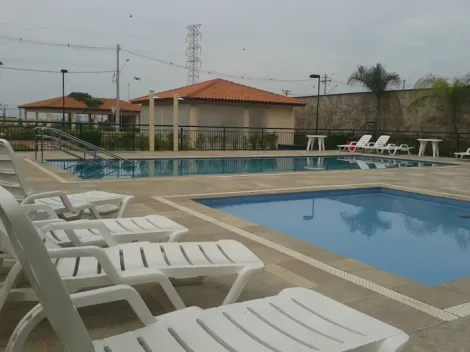Comprar Apartamento / Padr&atilde;o em S&atilde;o Jos&eacute; do Rio Preto R$ 360.000,00 - Foto 15