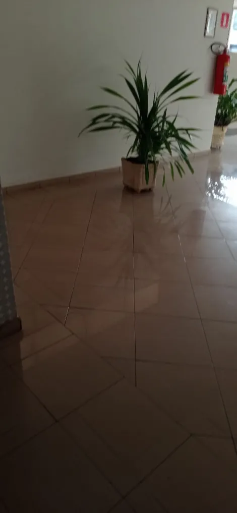 Comprar Apartamento / Padr&atilde;o em S&atilde;o Jos&eacute; do Rio Preto R$ 350.000,00 - Foto 16