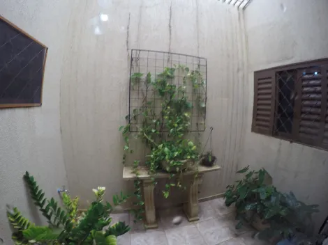 Comprar Casa / Padr&atilde;o em S&atilde;o Jos&eacute; do Rio Preto R$ 595.000,00 - Foto 13