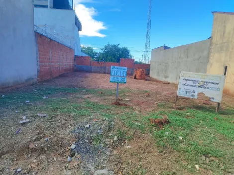 Terreno / Padr&atilde;o em S&atilde;o Jos&eacute; do Rio Preto 