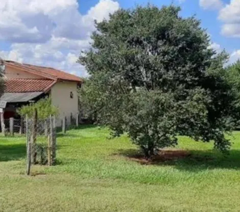 Comprar Rural / S&iacute;tio em Bady Bassitt R$ 2.300.000,00 - Foto 4