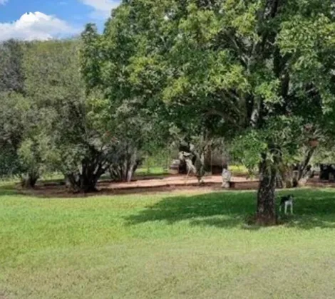 Comprar Rural / S&iacute;tio em Bady Bassitt R$ 2.300.000,00 - Foto 5