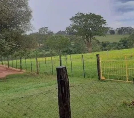 Comprar Rural / S&iacute;tio em Bady Bassitt R$ 2.300.000,00 - Foto 7