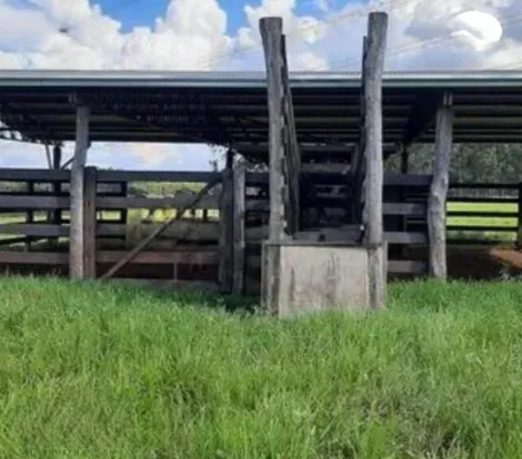 Comprar Rural / S&iacute;tio em Bady Bassitt R$ 2.300.000,00 - Foto 8